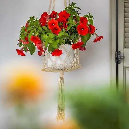 Amarada Appartement